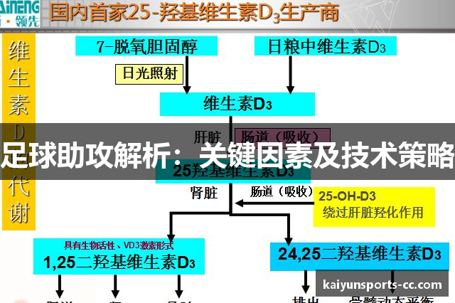 足球助攻解析：关键因素及技术策略